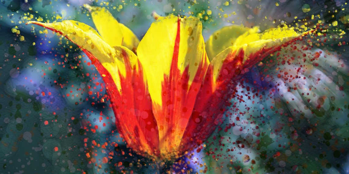 Portrait-Tulip-Color-Burst